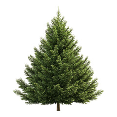 Fototapeta premium Evergreen Christmas Tree, Green Fir Tree, Holiday Decoration, Seasonal Plant isolated on Transparent Background