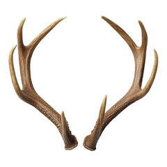 Elegant deer antlers isolated on a transparent background on transparent background