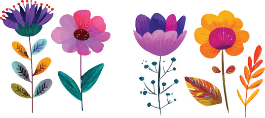 tulip flowers vector illustration