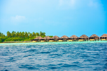 Tranquil closeup calm sea water waves with palm trees. Beautiful Panorama, Tropical island beach landscape exotic shore coast. Summer vacation, holiday amazing nature. Relax paradise, Maldives.