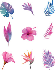 set of pink and purple flowers