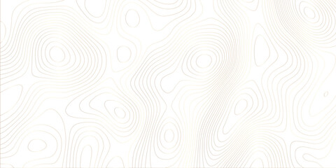 Abstract design with black and white abstract papercut and multi-layer cutout geometric pattern on vector Topographic canyon geometric map relief texture with curved layers beautiful design.	