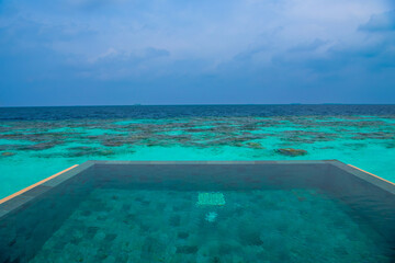 Fototapeta premium Tranquil closeup calm sea water waves with palm trees. Beautiful Panorama, Tropical island beach landscape exotic shore coast. Summer vacation, holiday amazing nature. Relax paradise, Maldives.