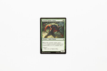 Naklejka premium Bradford, UK Nov 3 2025 Twisted Spider-clone card from Spider-man magic the gathering game shot isolated on a white paper background.