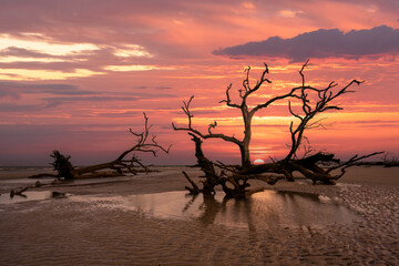 Gorgeous sunset at boneyard beach in Hunting Island State Park, South Carolina 