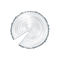 Fototapeta premium Abstract Circular Tree Ring Pattern with Wedge Cutout Vector Graphic