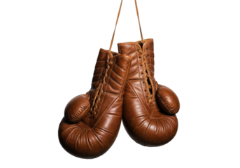 Vintage Leather Boxing Gloves Hanging, Brown, Retro Style, Sport, Fight, Training.