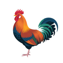 Fototapeta premium Colorful stylized rooster illustration isolated on transparent background