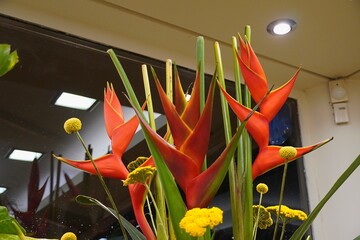 Heliconia, or false bird of paradise flowers in a florist shop in Glyfada, Greece