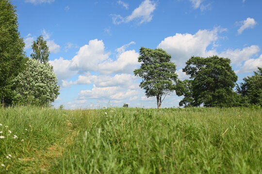 A path on a windy day with cumulus clouds on a hilly terrain with trees