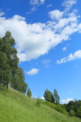 Windy day with cumulus clouds on a hilly area with trees on a slope on a sunny day