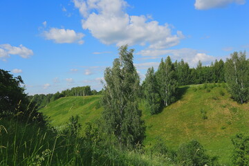 Windy day with cumulus clouds on a hilly area with trees on a slope on a sunny day