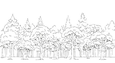 Obraz premium Line art illustration of a forest with various trees, capturing natures beauty