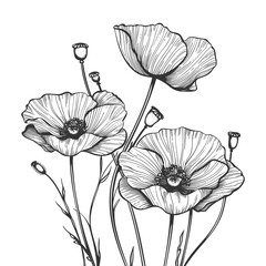 Fototapeta premium poppy flowers in bloom, showcasing natural beauty with a vintage botanical engraving style sketch engraving generative ai raster illustration. Scratch board imitation. Black and white image.