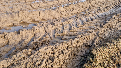 Wheel tracks in the mud. Ruts and puddles. Close-up.
