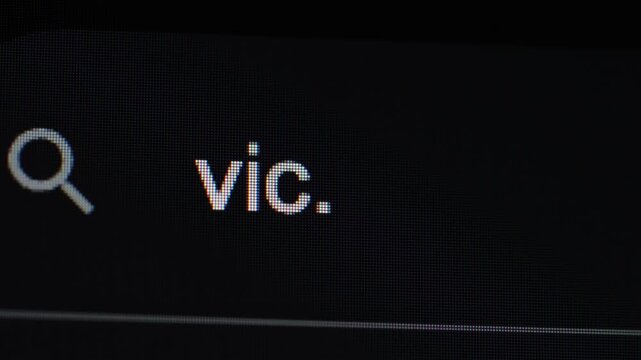A close-up view of the company name "vic ai" being typed into a search bar