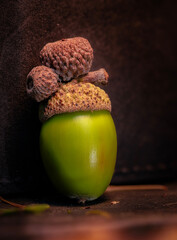 acorn macro