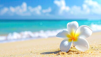 Fototapeta premium Tropical Beach With White Flower In Foreground And Turquoise Ocean Water Under Blue Sky With White Clouds