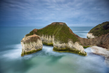 The Drinking Dinosaur