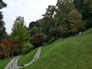 Fototapeta premium Serene Walking Path in a Lush Green Park with Autumn Colors