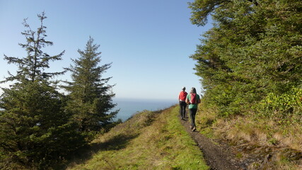 Obraz premium Hiking along the Oregon coast around Cape Perpetua
