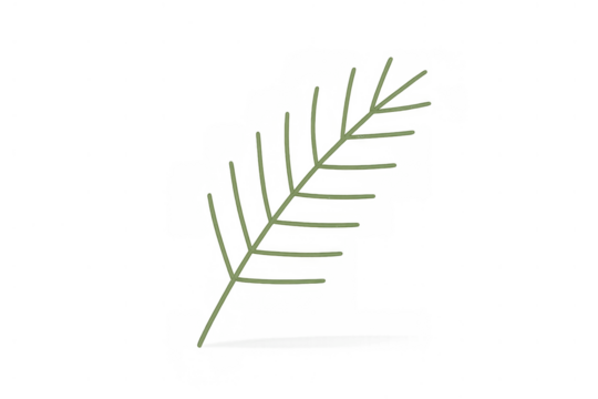 Green botanical leaf simple line art illustration with transparent background, nature drawing graphic design element - Powered by Adobe