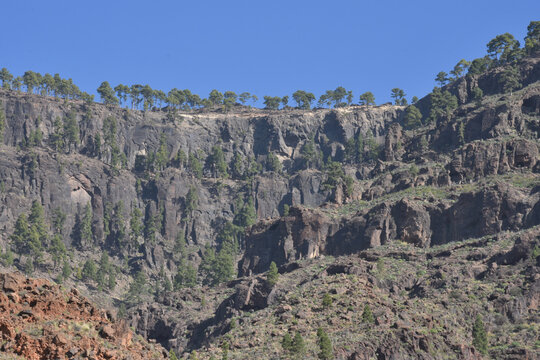 R&eacute;gion de Mogan, &icirc;le de la Grande Canarie, Espagne.