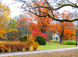 Colorful autumnal cloudy day in old  public park among golden oak trees, pedestrian footpath, colorful bushes on foreground and stone resting pergola at the distance

