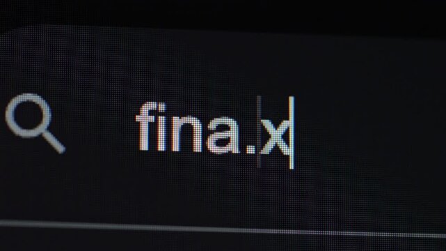 A close-up view of the company name "fina.xyz" being typed into a search bar