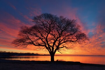 Obraz premium Connecticut Silhouette. Glowing Sunrise Silhouetted Oak Tree on the Shore of Long Island Sound