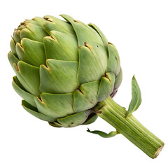 Fototapeta premium Artichoke isolated on a transparent background 