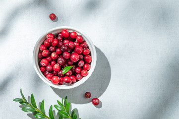 Fresh cranberries in a white bowl on a light background with green branch and sunlight.
