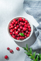 Fresh cranberries in a white bowl on a light background with green branch, napkin and sunlight.