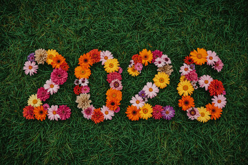 Colorful spring flower bouquet blossoms on green grass in the garden