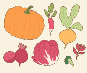 Vegetables and Fruits Pattern Collection - Hand Drawn Food Illustrations