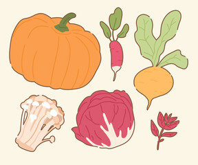 Vegetables and Fruits Pattern Collection - Hand Drawn Food Illustrations
