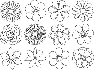 Collection of twelve flowers line art simple vector drawing minimalist