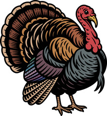 Colorful turkey vector illustration. Thanksgiving Day symbol. Fall season clipart. Turkey graphic, isolated element for holiday projects	