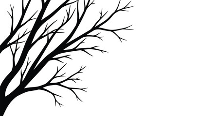 Bare branches against a white background a minimalist nature scene