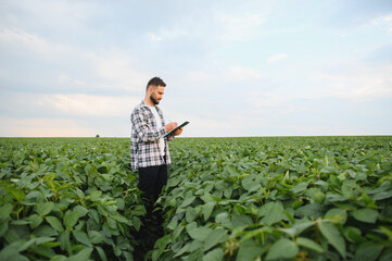 Fototapeta premium Agronomist taking notes in soybean field during inspection