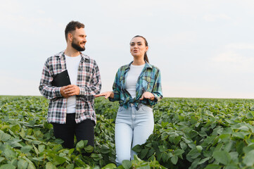 Two farmers discussing in a soybean field