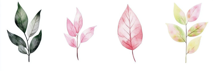 watercolor green leaves elements. Collection botanical vector isolated on white background