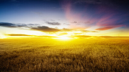 Landscape of a golden field under a dramatic sky at sunset. Natural background