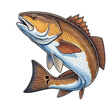 redfish fishing illustration logo vector image t shirt