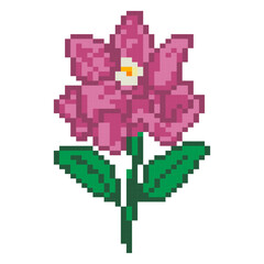 Fototapeta premium Pixel art pink flower blossom illustration