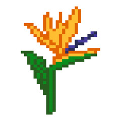 Fototapeta premium Pixel art tropical bird of paradise flower illustration