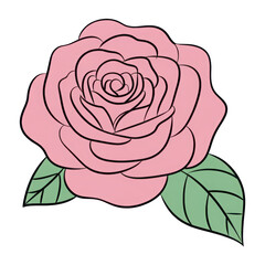 Stylized pink rose illustration isolated on transparent background