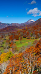 Fototapeta premium 新潟焼山と紅葉 秋の新潟 笹ヶ峰 絶景 縦構図