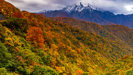 冠雪した越後駒ヶ岳と紅葉　魚沼の秋　絶景