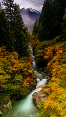 秋の魚沼　紅葉と渓流と越後駒ヶ岳　絶景